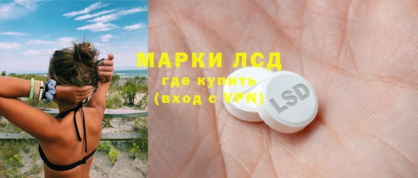 ешки Аркадак
