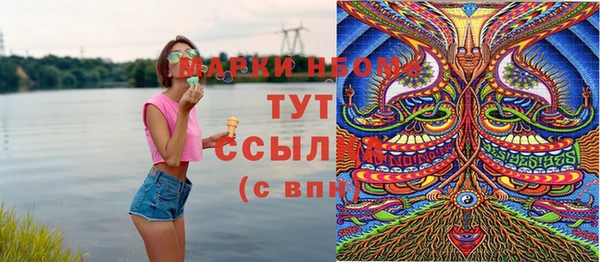 ешки Аркадак