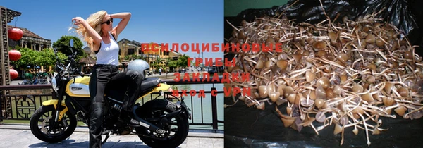 ешки Аркадак